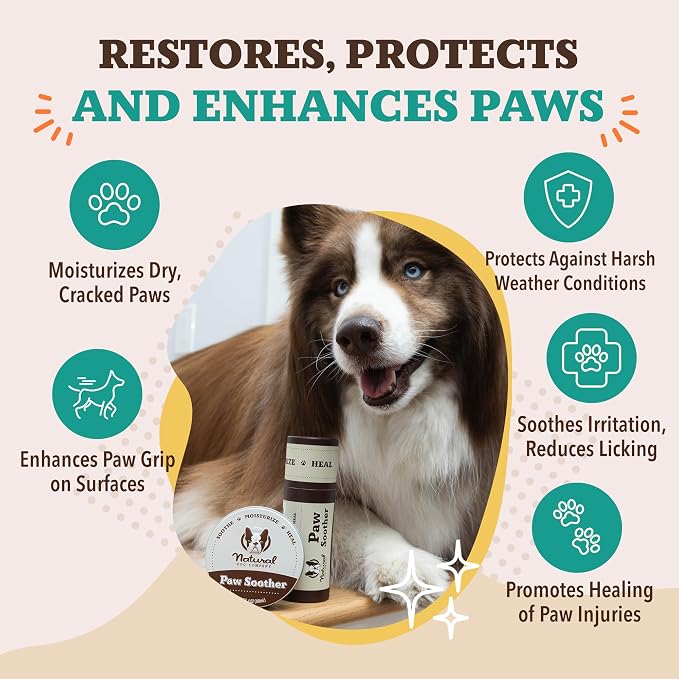 Natural Dog Company Paw Soother Dog Paw Balm – Moisturizes Dry Cracked Paws After Walks, Hot Pavement, Beach Sand, Hiking & Outdoor Play with Coconut Oil & Calendula, Daily Paw Care, 0.15 oz Stick