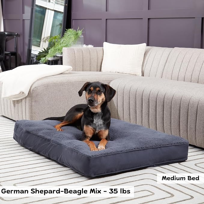 Happy Hounds Daisy Deluxe Supportive Sherpa Dog Bed, Medium (42 x 30 in.), Prussian Blue