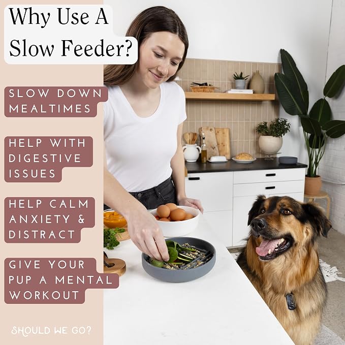 Should We Go? Silicone Slow Feeder & Pet Feeding Set – Slowdown Bowl for Dogs & Puppies, Non-Slip Waterproof Mat, Non-Tippable Water Bowl, Spill-Proof, Dishwasher Friendly, Medium-Sage Green