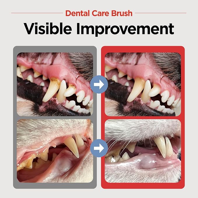 JAYU PET Dental Care Brush, Soft Bristles, 3ea | Dog Toothbrush, Cat Toothbrush, For Kitten and Small Dogs, Removes Old Plaque and Tartar, Easy Cleaning