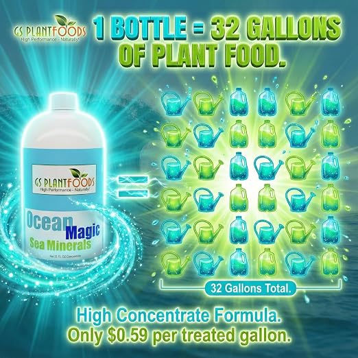 Ocean Magic Sea Minerals, 32 fl. oz.
