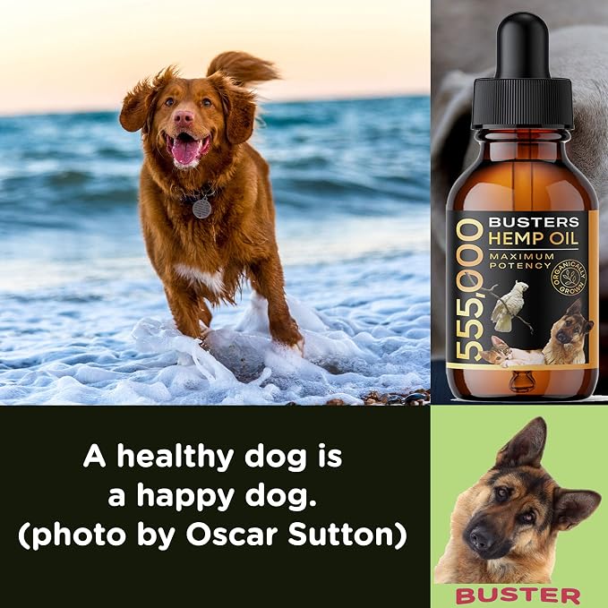 Buster's Organic Hemp Oil for Dogs and Cats, Economy 4PACK-8MTH-Supply, Large 60ml Bottle, Made in USA - Miracle Formula, Perfectly Balanced Omega 3, 6, 9 - Supports Joints