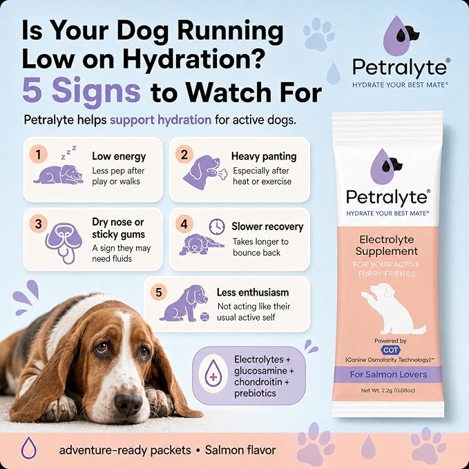 Dog Electrolytes and Joint Supplement | Hydration Support for Dogs w/Glucosamine, Chondroitin & More | Electrolytes for Dogs with Prebiotics | Salmon Lovers | 32 Packets