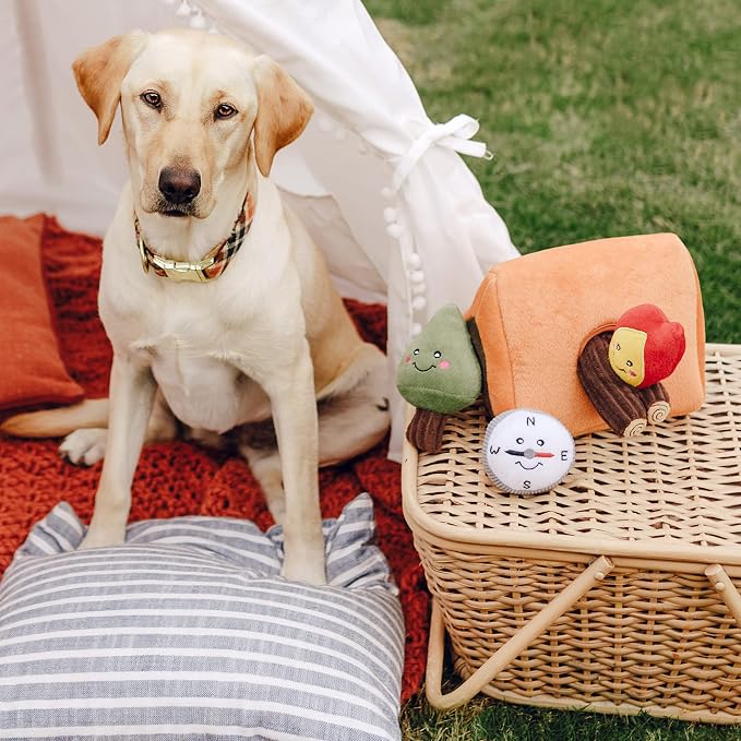 ZippyPaws Burrow Wilderness Camping Tent - Interactive Hide & Seek Dog Puzzles, Colorful Squeaky Toys for Small & Medium Dogs