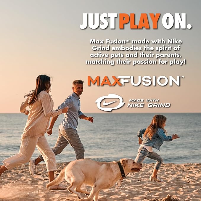 Max Fusion with Nike Grind, Arlee Frisbee Dog Toy, Chew Toy for Play, Fetch, Tug, L