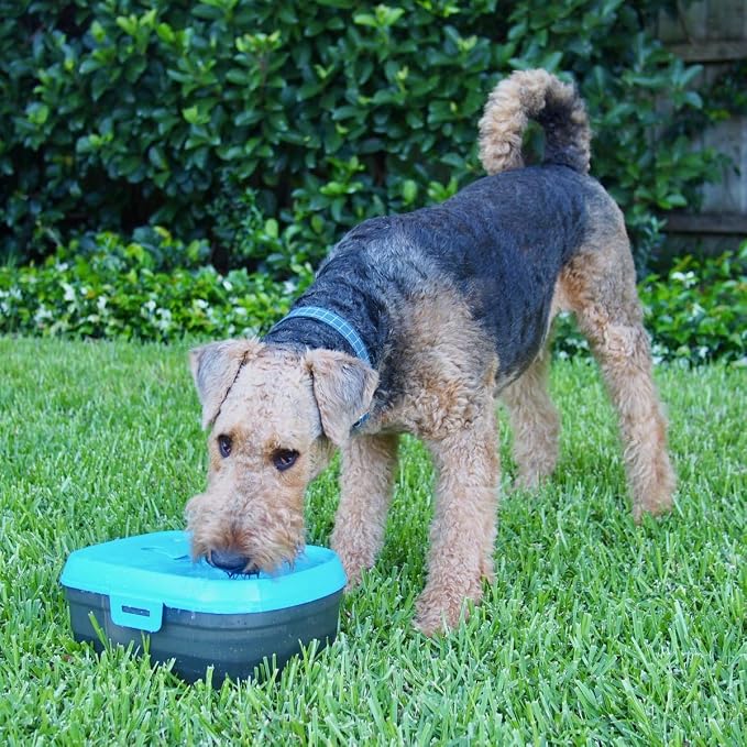 DH025 Cordless Battery Operated Pet Water Fountain, Cool Blue/Translucent Black