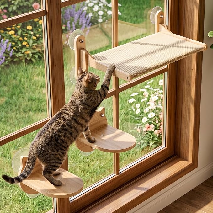 Novabright 3 Pcs Cat Window Perch Set with Hammock and 2 Cat Steps Wood Wall Shelves with Sturdy Suction Cup Mount Space-Saving Shelf for Indoor Window Bed for Sunbathing Bird Watching