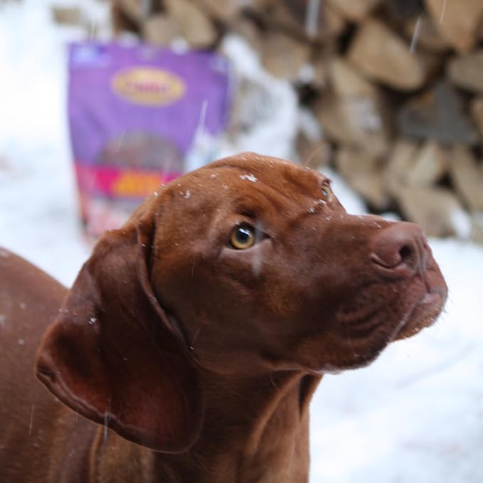 Cadet Gourmet Duck Jerky Dog Treats For Training - Healthy & Natural Dog Training Treats for Small & Large Breeds - Inspected & Tested in USA (40 oz.)