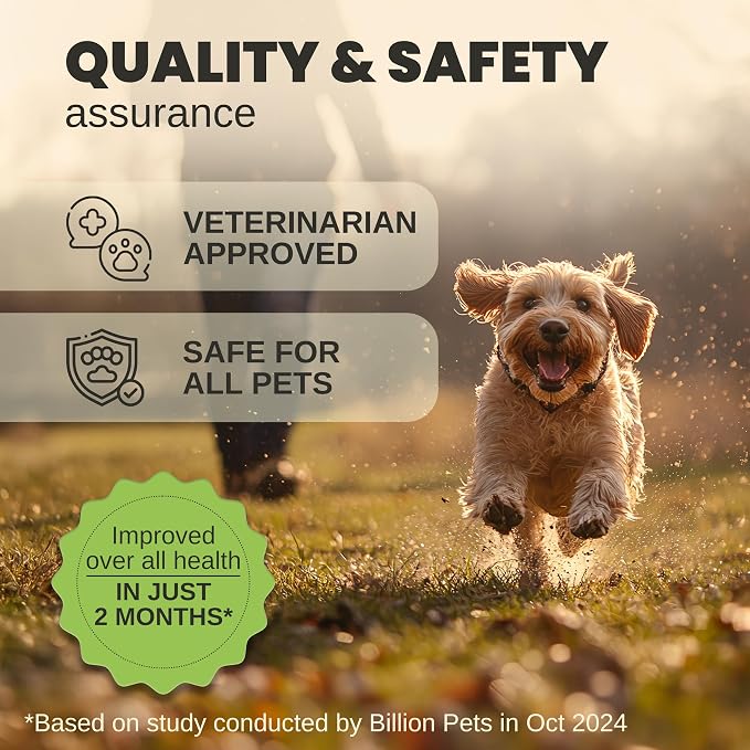 Billion Pets - Hemp Oil for Dogs and Cats - Helps with Anxiety, Pain, Stress, Sleep, Arthritis, Seizures Relief - Hip and Joint Support - Calming Drops Treats