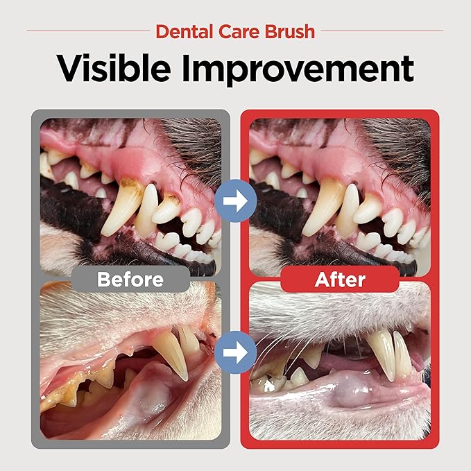 JAYU PET Dental Care Brush [Soft & Firm Bristles] - Toothbrush for Cat and Small Dogs, Removing Old Plaque and Tartar, Pet Dental Care, Cat Teeth Brushing & Easy Cleaning