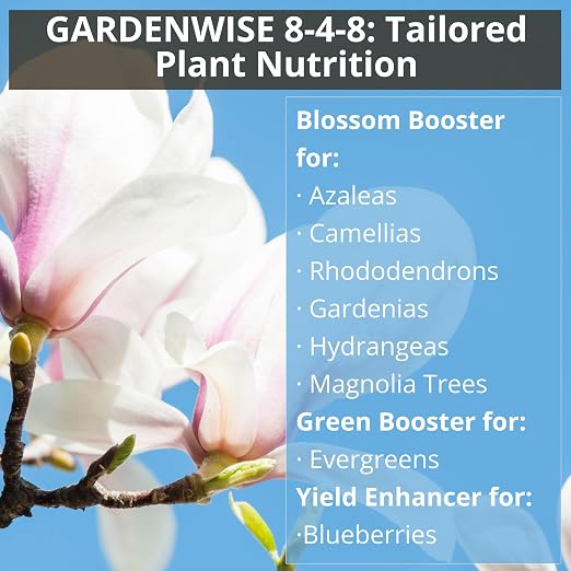 GARDENWISE 8-4-8 Acidic Fertilizer for Azaleas, Camellias (Camelia), Hydrangeas, Blueberries, Gardenias, Magnolia Trees, Evergreens, and Rhododendrons - Ideal Iron-Rich Plant Food (5 QUARTS)