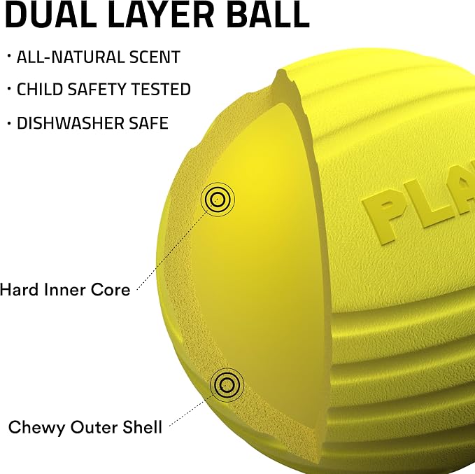Playology Dog Toys | Dual Layer Ball Durable Chew Toy for Tough Chewers | Chicken Scented Medium Dog Toy | Chew Toys for Dogs