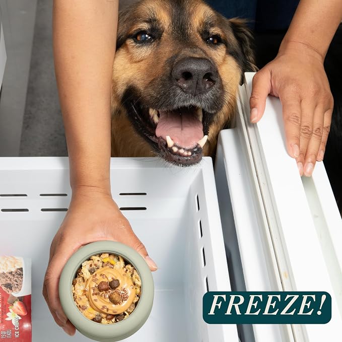 Should We Go? Interactive Dog Enrichment Toy with Freezer Plug, BPA-Free Silicone Puzzle Dog Freeze Bowl & Treat Dispenser for Mental Stimulation, Ideal for Kibble & Frozen Licks, Fits 17 oz, Large