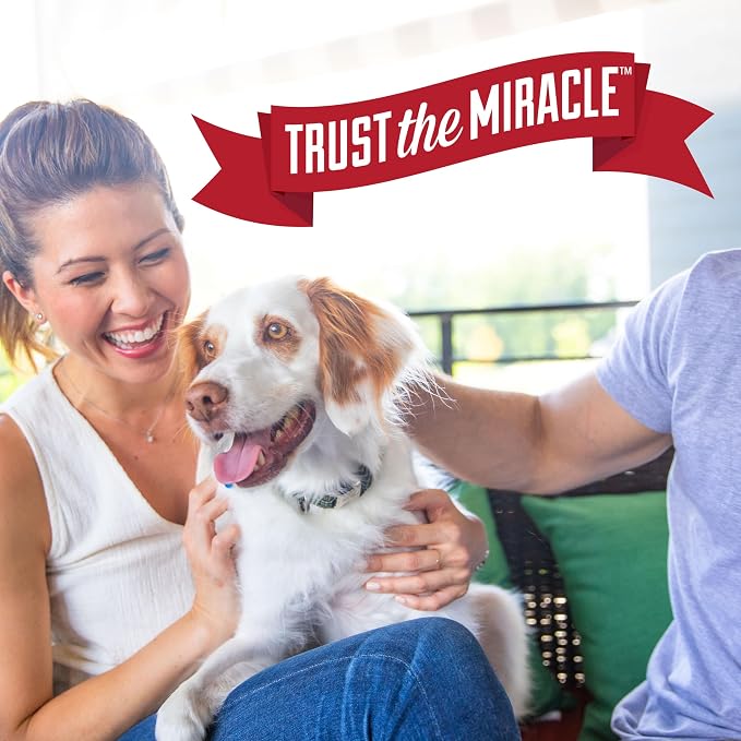 Nature's Miracle Urine Destroyer Plus for Dogs, Enzymatic Formula for Severe Stains, 32 oz