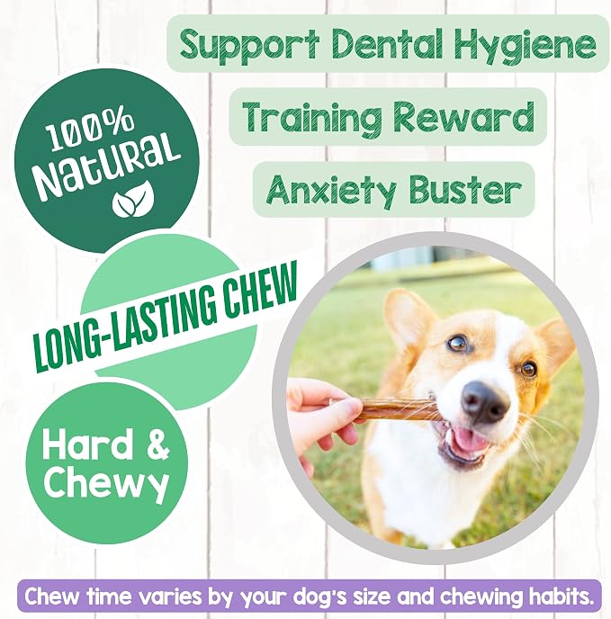 Nature Gnaws Thin Bully Sticks for Dogs 5-6" (1Lb) - Mixed Thickness - Long Lasting for Small Dogs and Puppies - Natural Thin Beef Dog Chew Bones - Rawhide Free