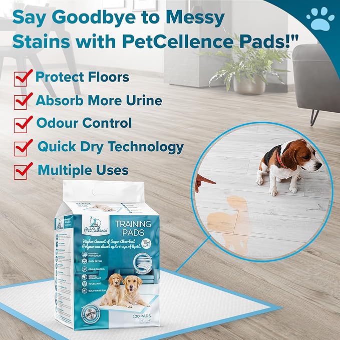 Large Puppy Pads 100 Count - 24" x 24" Pee Pads for Dogs with Adhesive Sticky Tapes, Ultra Absorbent Dog Pads, Perfect for Incontinent Dogs and Potty Toilet Training