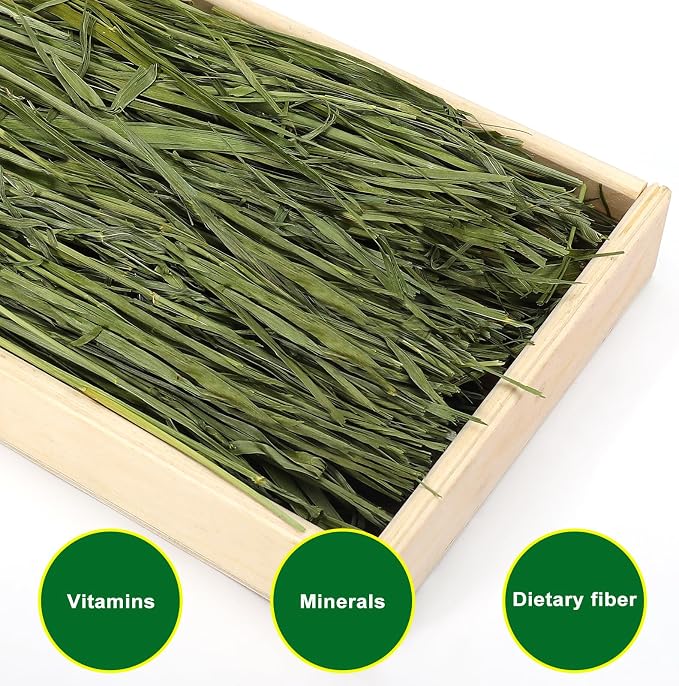 Premium Oat Hay for Pets - Dust Free Natural Green Fresh Pet Food Hay for Rabbits, Guinea Pigs, Chinchillas, Hamsters & Gerbils - 1.08 lbs