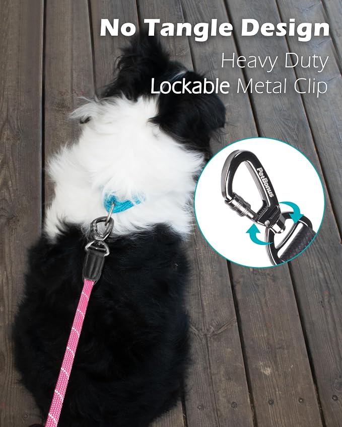 PetBonus Double Handle Rope Dog Leash and 2-Pack Large Silicone Collapsible Dog Bowls