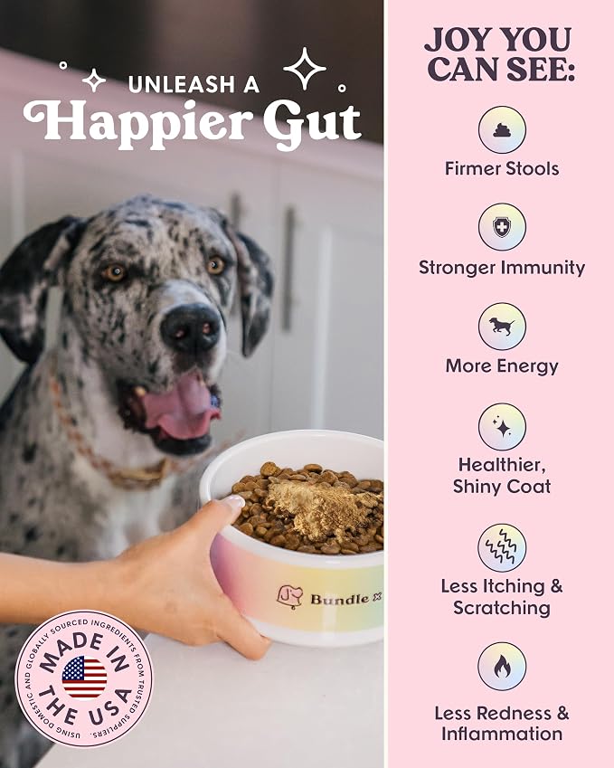 Bundle x Joy Superfoods with Pumpkin for Dogs Daily Boost, Vegan Digestive Support, Gut Health for Dogs, Supports Stomach Upset & Loose Stools, Dog Supplements Made in USA - 35 Scoops