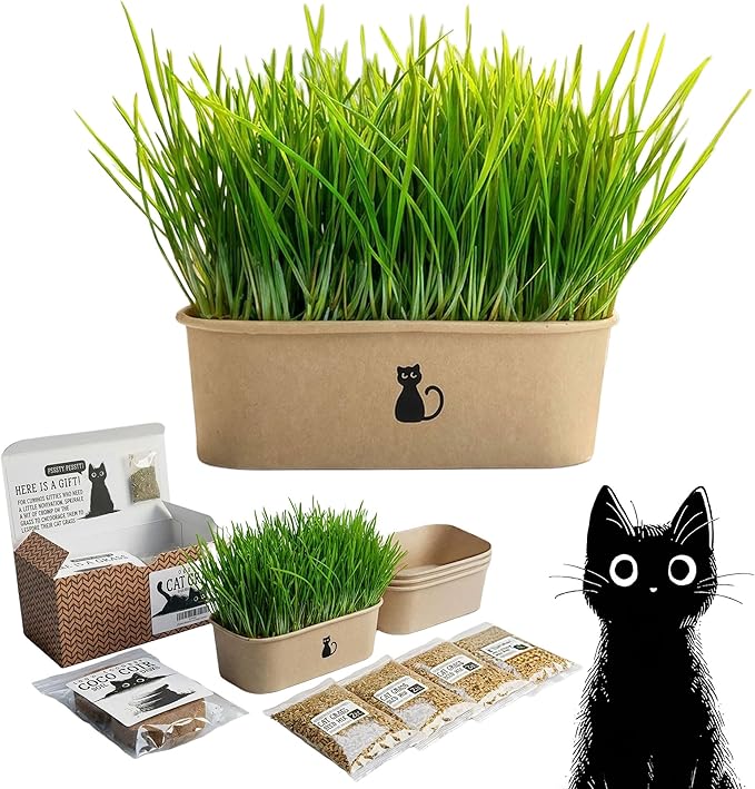 Cat Grass Grow Kit — 4-Batch Indoor Growing Set with Containers, Soil Disks & Seeds | Supports Digestion & Hairball Control | Ready to Grow, No Mess
