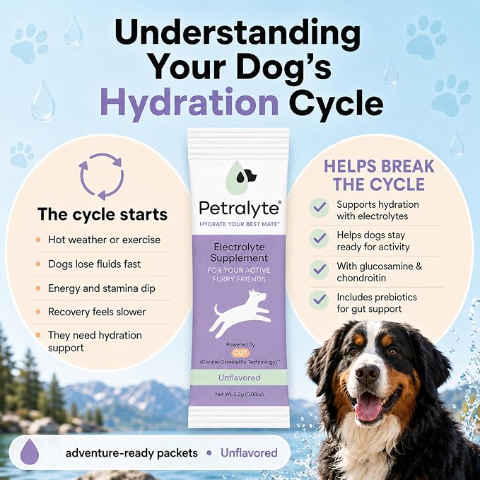 Dog Electrolytes and Joint Supplement | Glucosamine, Chondroitin & MSM for Inflammation and Mobility Support | Electrolytes for Dogs with Prebiotics | Unflavored | 16 Packets
