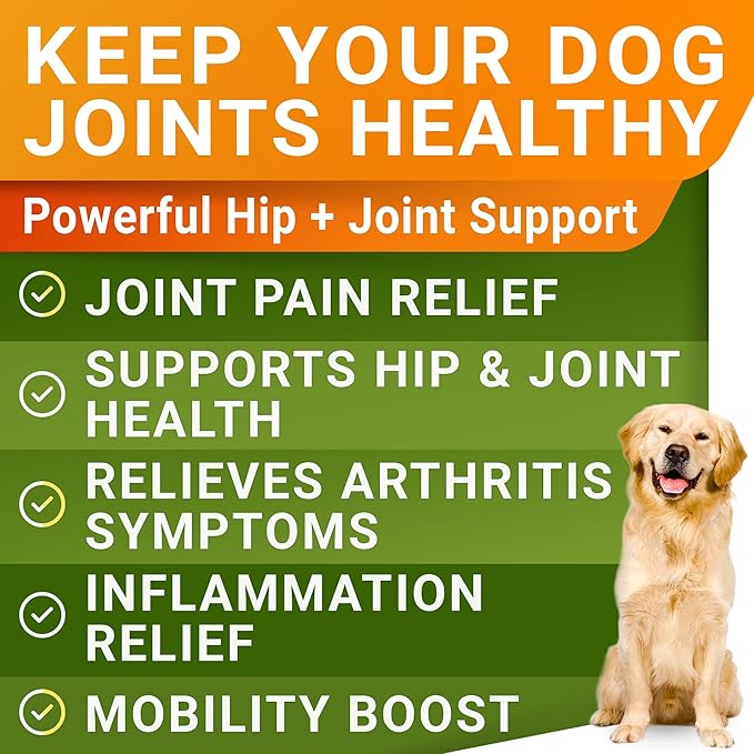 STRELLALAB Liquid Glucosamine for Dogs w/Collagen (16 OZ) - All-Natural Hip & Joint Supplement, Glucosamine Chondroitin for Dogs, MSM & Collagen Mobility, Joint Pain Relief for Small & Large