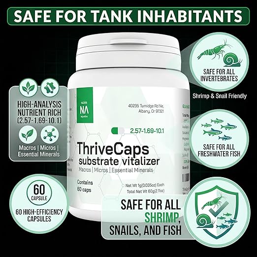 ThriveCaps Aquarium Root Caps – Premium Root Fertilizer for Live Plants – Slow Release – Strong NPK + Micros – Safe for Shrimp & Snails – 60 Count