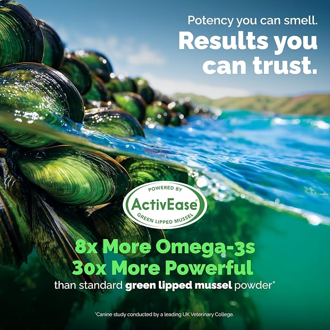 YuMOVE Adult Dog Hip & Joint Soft Chews, ActivEase Green Lipped Mussel, Glucosamine for Dogs, Hyaluronic Acid & Omega 3 - Barbecue Flavor (150ct Chews, Regular Strength)