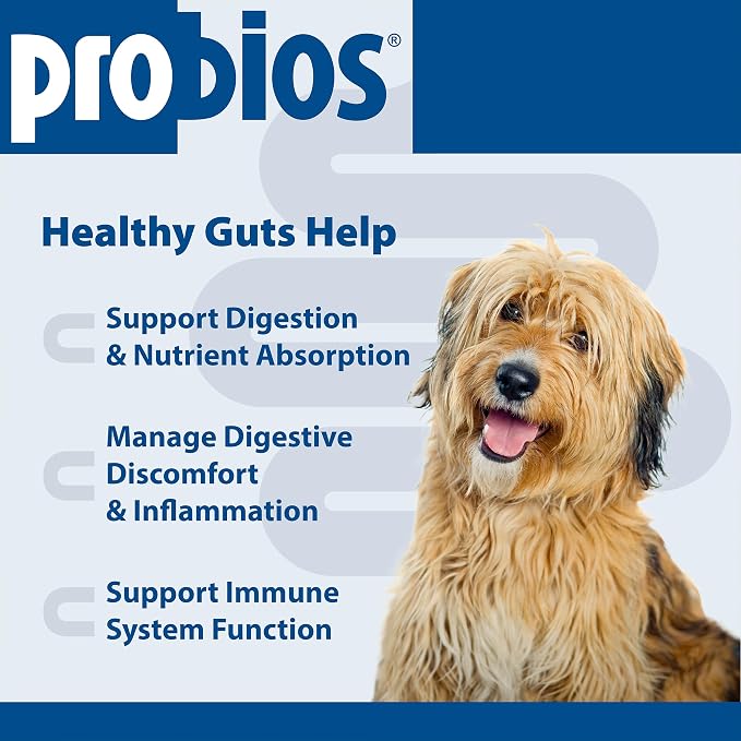 Probios Chewable Tablets for Dogs, Daily Probiotic Supplement for Gut Health, Digestion & Immune Support, Improves Microbiome Balance During Stress, Travel & Routine Changes, Chicken Liver, 45 Count