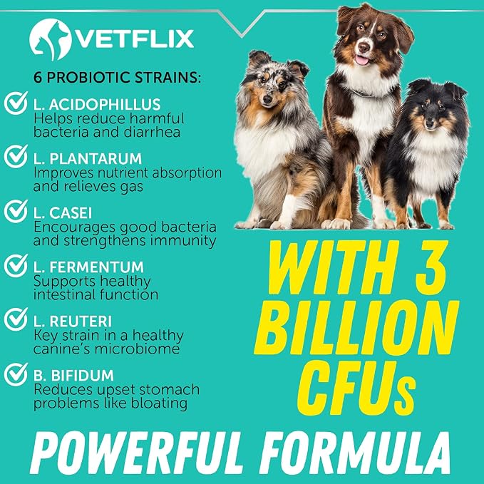 Premium Probiotics Liquid for Dogs, Cats, Puppies and Kittens, 2 Fl Oz | Digestive Enzymes, Prebiotics Supplement, Supports Digestive Health, Gut Balance
