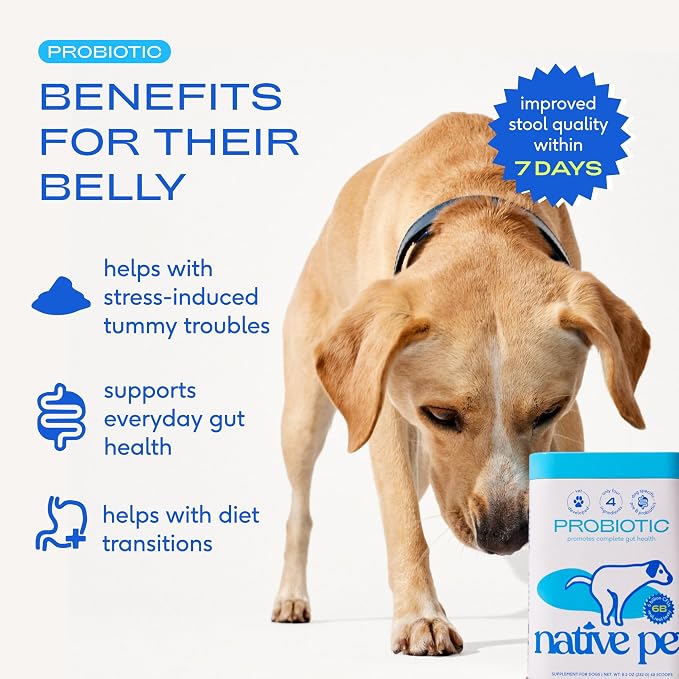Native Pet Probiotics for Dogs – Dog Probiotic Powder for Gut & Digestive Health, Vet-Formulated 6B CFUs Dog-Specific Probiotic Strains, Supports Stool Quality & Diet Transitions – 60 Scoops