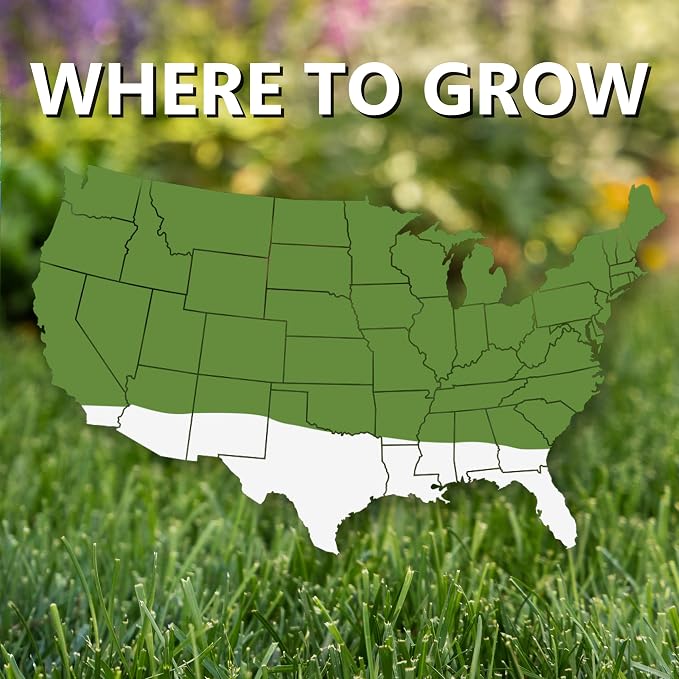 Jonathan Green (10810) Fast Grow Grass Seed - Cool Season Lawn Seed (25 lb)