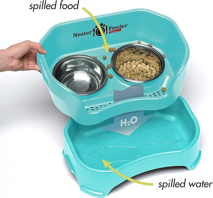 Neater Feeder Deluxe Mess-Proof Elevated Dog Bowls for Small Dogs (Up to 19 lbs), 2 Height Adjustable (6” & 7.5”) No-Spill Raised Dog Bowl Stand, Stainless Steel Food Bowl Set, Made in USA, Aquamarine