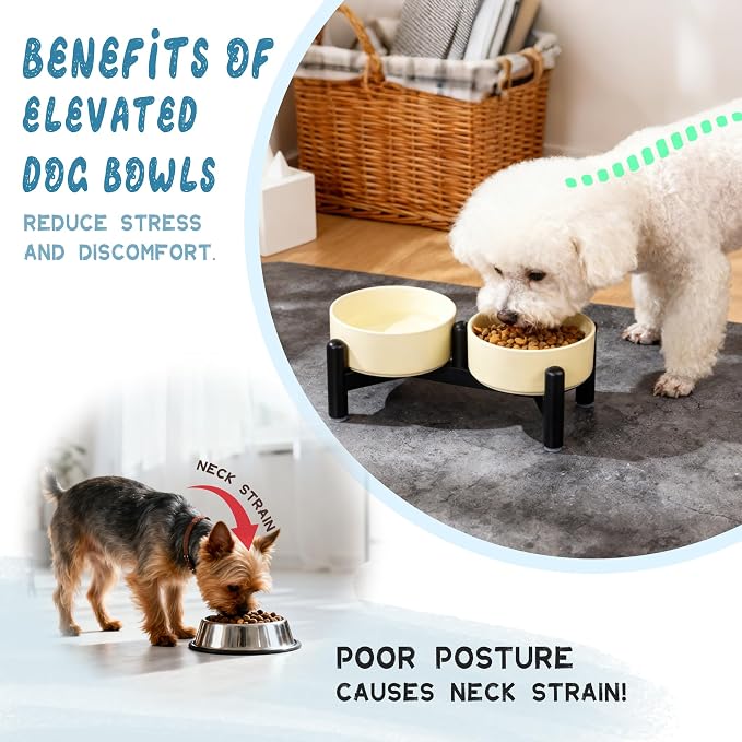 Elevated Ceramic Dog Bowl Set - Cute Double Dishes with Stainless Steel Stand – Raised Feeding Bowls for Cats and Small Dogs - Food & Water Set - 5" / 1.4 Cups (140 g / 260 ml) - Yellow