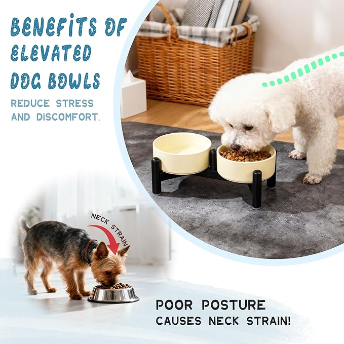 Elevated Ceramic Dog Bowl Set - Cute Double Dishes with Stainless Steel Stand – Raised Feeding Bowls for Cats and Small Dogs - Food & Water Set - 5" / 1.4 Cups (140 g / 260 ml) - Blue