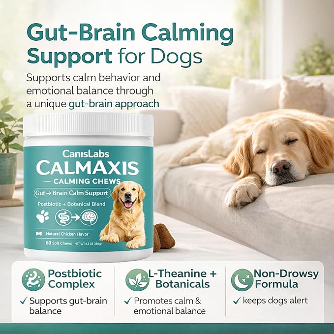 Calmaxis Chews, Postbiotic Chews for Dogs, Supports Calm Behavior & Gut Health, Postbiotic Complex & L-Theanine, Natural Chicken Flavor, 60chews for Small & Large Dogs