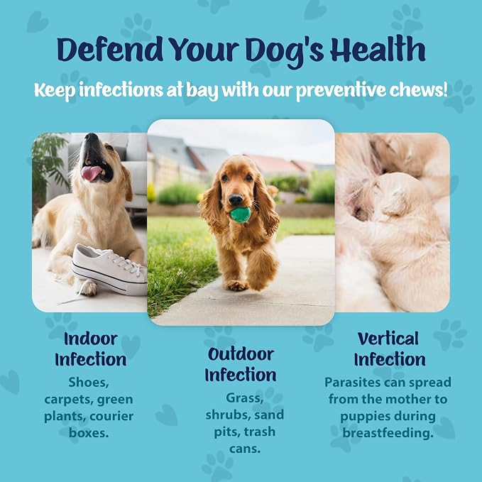 Texas Pet Company Flea and Tick Prevention for Dogs Chewables - Natural Dog Fleas & Ticks Treatment Chewable Supplement - Oral Pills - All Breeds & Ages - USA Made 120 Soft Chews Flea Defender