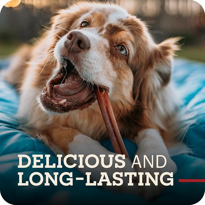 Redbarn Pet Products All-Natural 4" Bully Stick Rings for Dogs - Premium Grain-Free & Rawhide-Free Single Ingredient Long Lasting Low Odor Dental Treat for Chewers - 3 Count (Pack of 2)