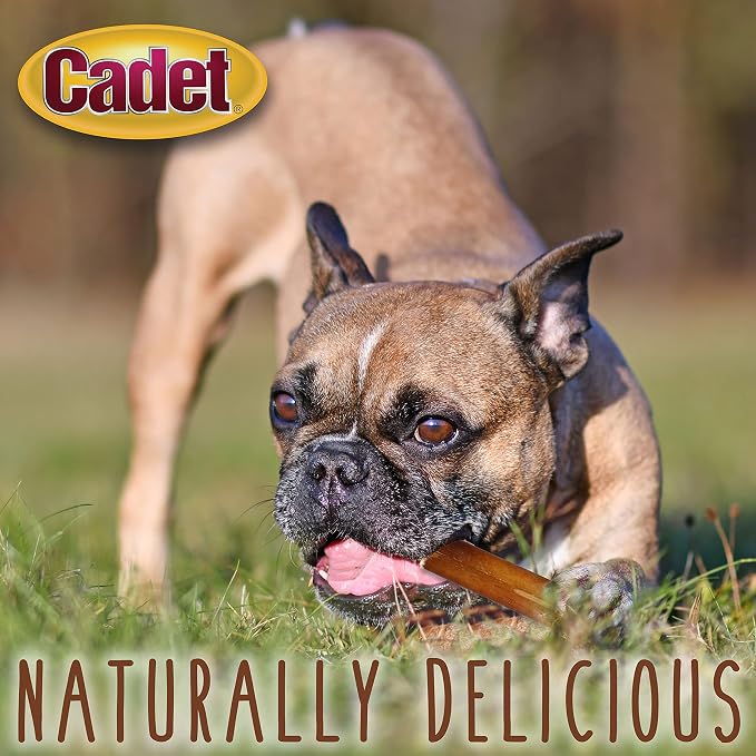 Cadet Bully Sticks for Extra-Small Dogs, All-Natural Beef Pizzle, Rawhide-Free Long-Lasting Dog Chews for Aggressive Chewers, 8 oz