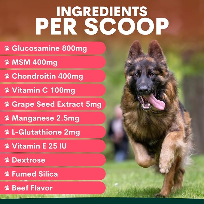 Petz Park Hip + Joint for Dogs 90 Scoops, Glucosamine for Dogs with Chondroitin and MSM, Dog Hip and Joint Supplement for Mobility Support, Dog Food Topper Powder for Joint Health and Flexibility