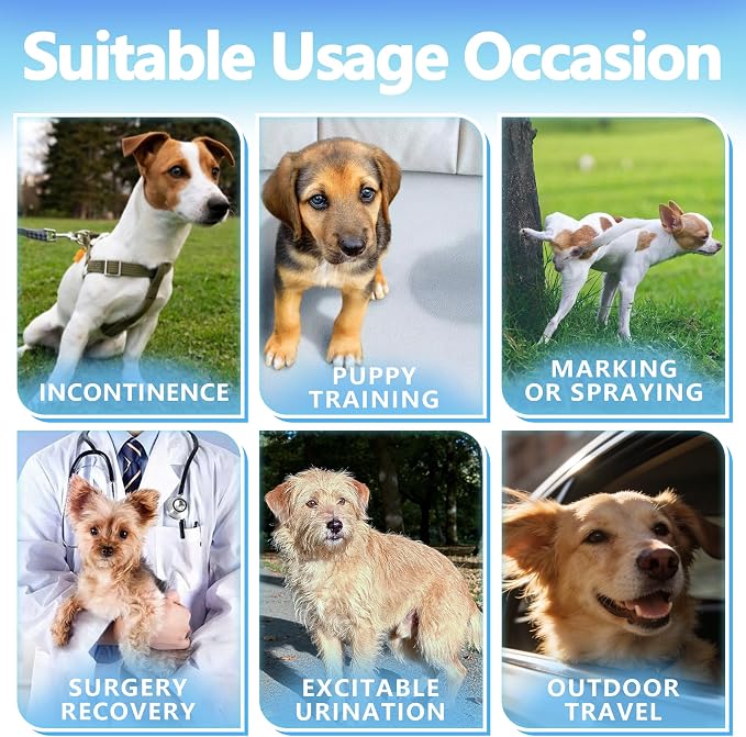Male Dog Diapers,Dog Diapers Male Disposable with Wetness Indicator,100 Count,Small,Super Absorbent Leak-Proof Fit for Male Dogs Excitable Urination or Incontinence