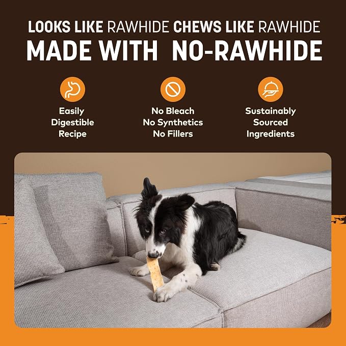 Earth Animal No Hide Strips - Natural Rawhide Free Dog Chew Strips, Chicken - 10 Count Value Pack