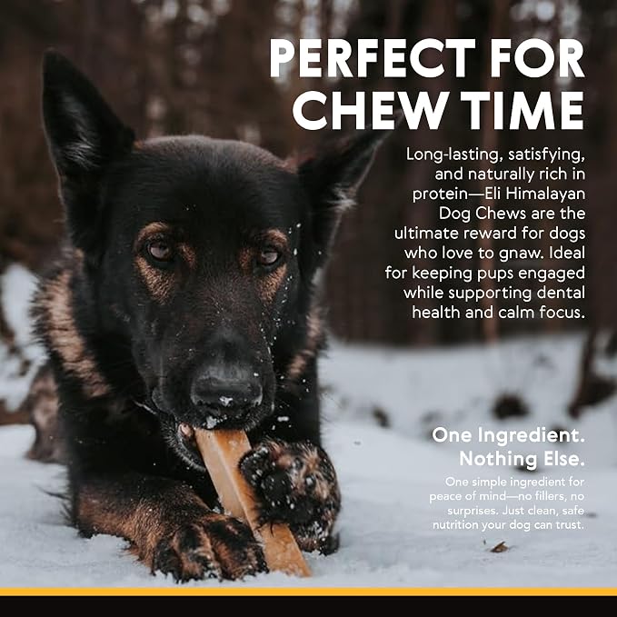 Eli Himalayan Dog Chew – 100% Natural, Long-Lasting Chews for Dogs 11–22 lbs, Protein-Rich, Gluten Free, Grain Free, Lactose Free, Safe & Healthy Dental Treats – Size Medium, 4 Pack