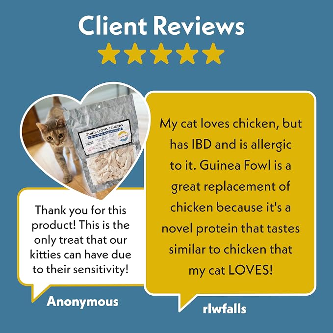 Fresh Is Best Guinea Fowl Tenders Freeze Dried Dog Treats – Raw Freeze Dried Treats for Dogs & Cats in Resealable Zipper Bag – High-Protein Single Ingredient – Made in the USA