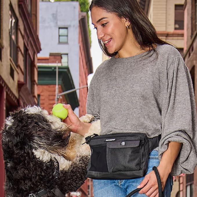 Cleverpup Dog Walk & Train Sling Bag - Hands-Free Dog Walking & Training Bag with Treat Pouch, Poop Bag Holder & Phone Pocket - Crossbody or Fanny Pack, Adjustable Strap - Graphite