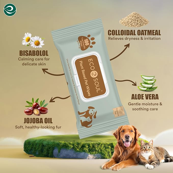 ECO SOUL Pet Wipes for Dogs & Cats, Unscented Large Cleaning Wipes with Aloe Vera & Jojoba Oil | (100 Count Each, Pack of 4)