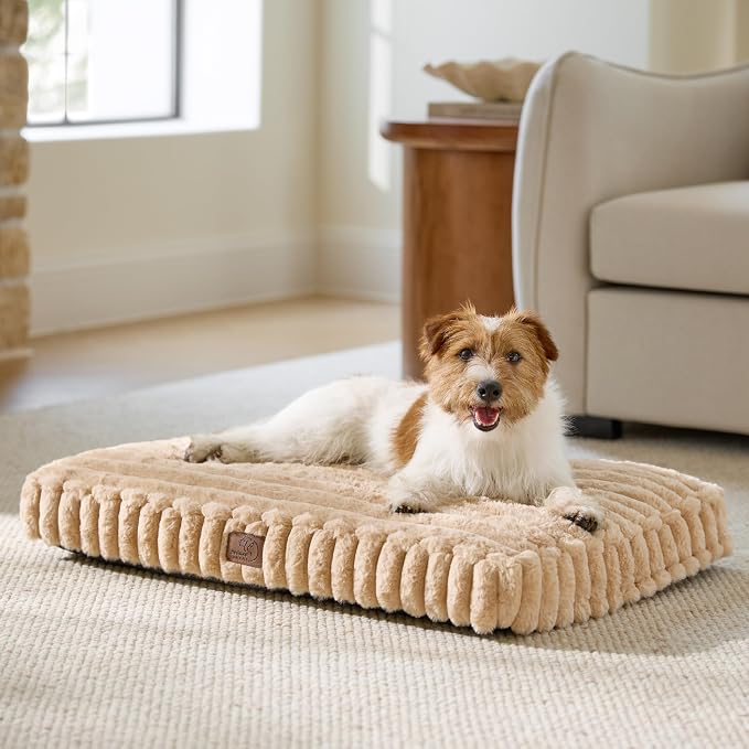 Bedsure ComfyFleece™ Plush Dog Bed Medium Size Dog, Crate Bed for Balanced Support, Cute Chopped Foam Pillow Pad with Removable Washable Cover, Non-Slip Waterproof Cozy Pet Mat, 30"x 20", Sandy Beige
