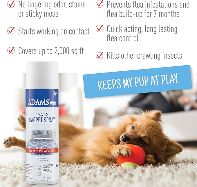 Adams Plus Carpet Spray + Flea & Tick Dog Collar