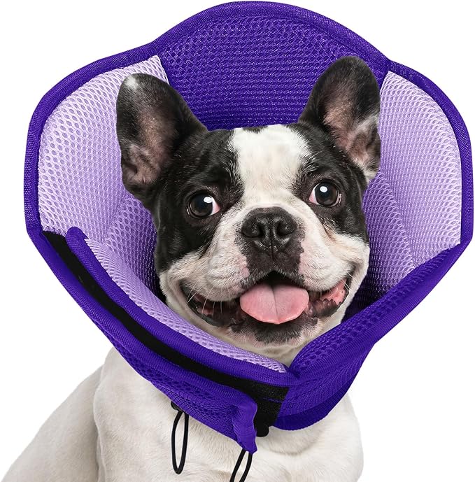 AOFITEE Dog Cone - Soft Dog Cone Collar to Stop Licking, Adjustable Comfy Cones for Dogs After Surgery, Foldable Cones for Dogs Elizabethan Pet Collar for Medium Pets, Pet Recovery Collar, Purple M