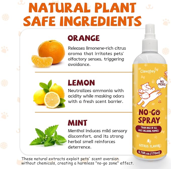 Dog Potty Training Spray Set, No-Go Spray & Here Potty Training Spray, Puppy Essentials, Stops Urination & Marking (5.75 fl oz, 2 Pack), Ideal for Multi-Dog Households
